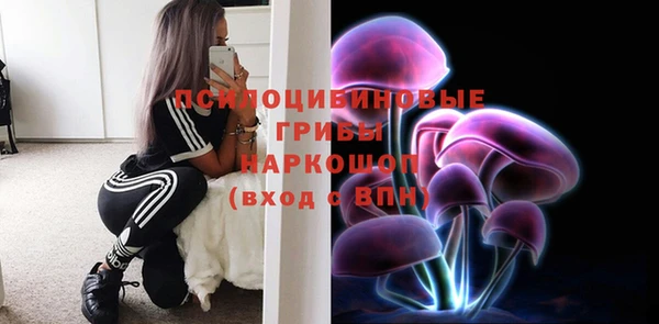a pvp Медвежьегорск