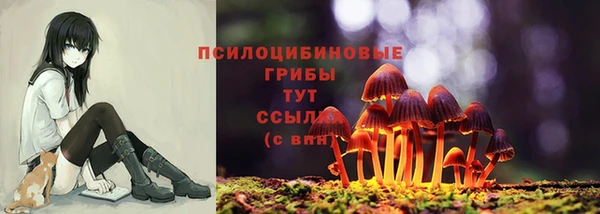 стафф Медногорск