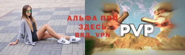 стафф Медногорск