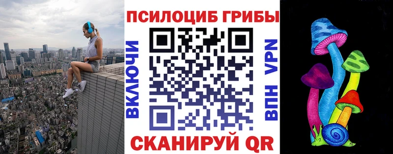 Купить закладки Хвалынск Псилоцибиновые грибы Magic Shrooms